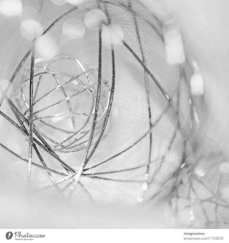 Spheres and circles Decoration Metal Together Silver Considerate Still Life Wire Enclose Protect Blur Protection Round Black & white photo Detail