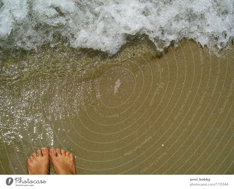 Feel the sea Summer Beach Ocean Waves Inject White Foam Toes Brown Emotions Wet Vacation & Travel Coast Water Sand Feet reflection sun wave splash foot toe toot