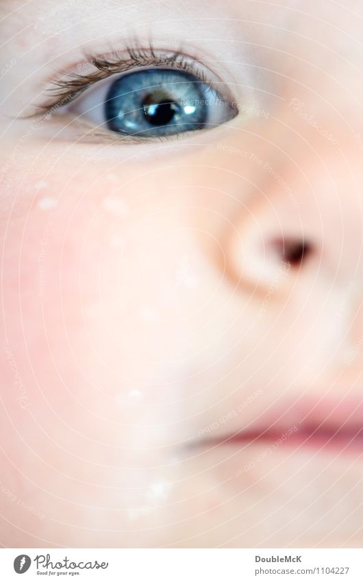 Child's face in detail with drops of water under the eye Human being Baby Toddler Infancy Head Face Eyes Nose Mouth Lips 1 0 - 12 months 1 - 3 years Observe