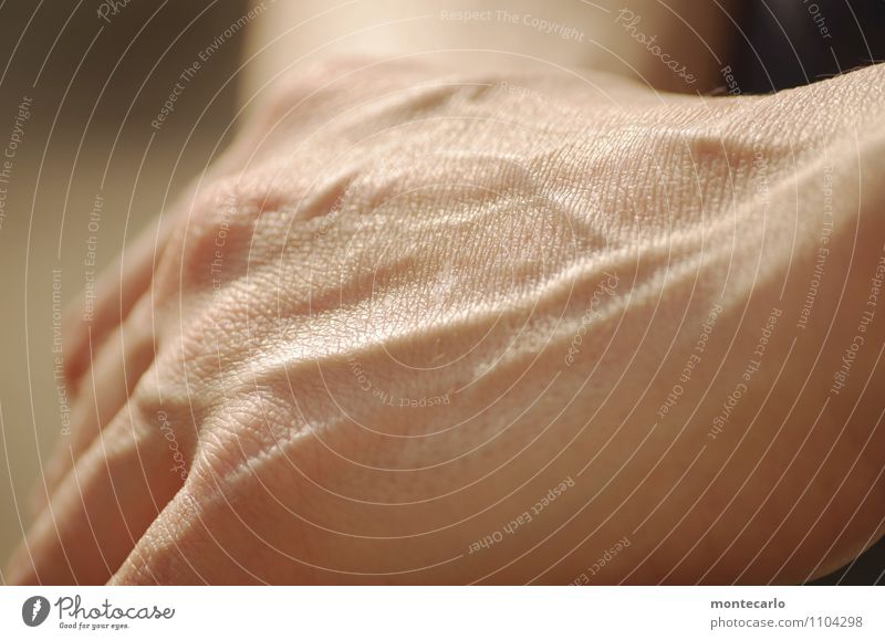 force | blood pressure Human being Feminine Skin Hand 1 30 - 45 years Adults Touch Discover To hold on Thin Authentic Uniqueness Near Naked Natural Original