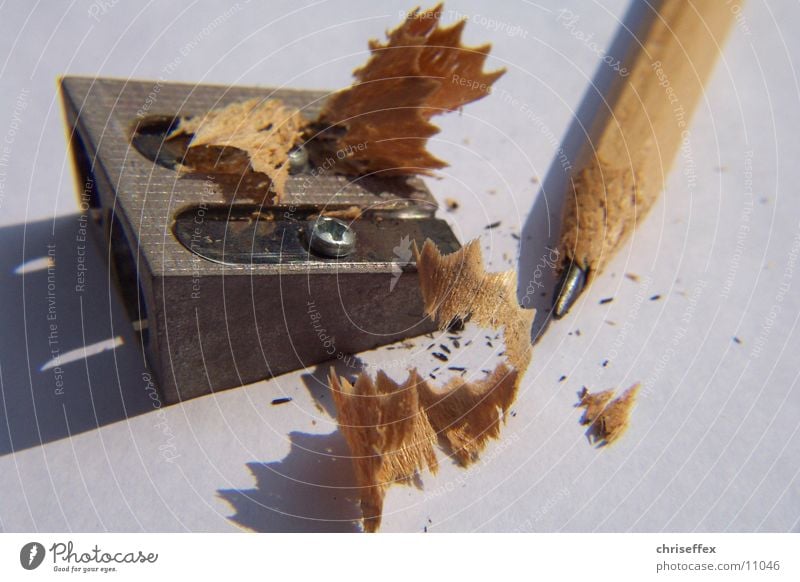 Spitz'er Pencil Point Wood White Brown Sharpener Things close-up Painting (action, work) Draw Shavings Shadow