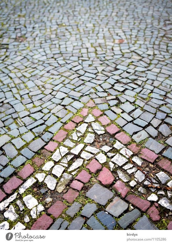 Aachen Paving Street Lanes & trails Pavement Cobblestones Arrow Stone Old Historic Original Gray Red White Senior citizen Design Network Town Decline Time