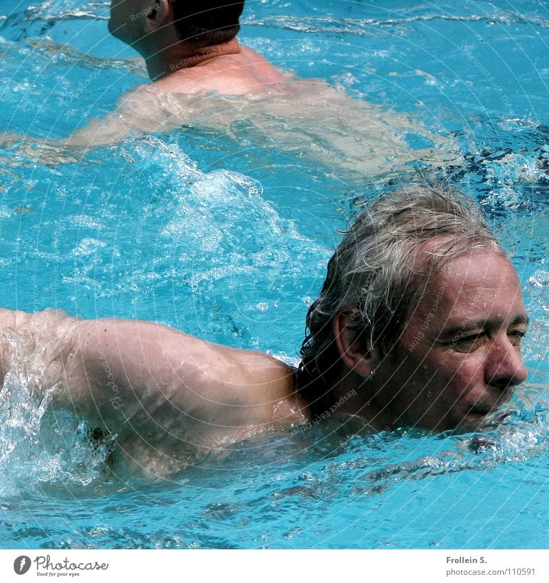 water spochtler Man Masculine Swimming pool Turquoise Wet Waves Sunbathing Summer Aquatics Head Hair and hairstyles Water Blue Looking Arm Crawl (swim)