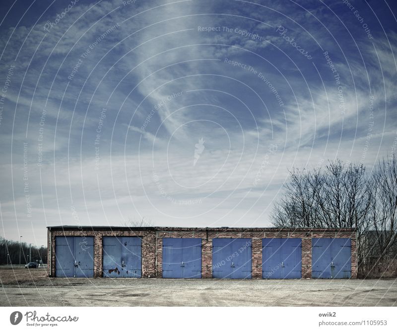 customization Sky Cloudless sky Beautiful weather Sharp-edged Simple Blue Thrifty Arrangement Garage Garage door Tree Extreme long shot Rustic Front side