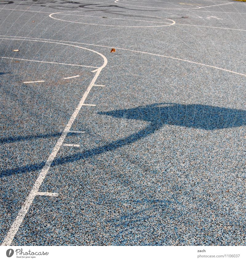shadow plays Athletic Fitness Leisure and hobbies Sports Sports Training Ball sports Basketball Basketball arena Basketball basket Sporting Complex Town