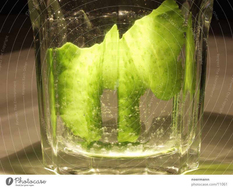 Algae in glass Green Water Glass reflexes