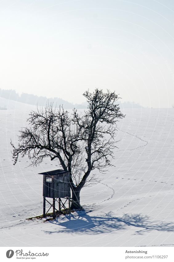 Tree and high stand Environment Nature Landscape Plant Sky Winter Climate Weather Ice Frost Snow Snowfall Meadow Hill Hut Stand Cold Blue Gray Black White