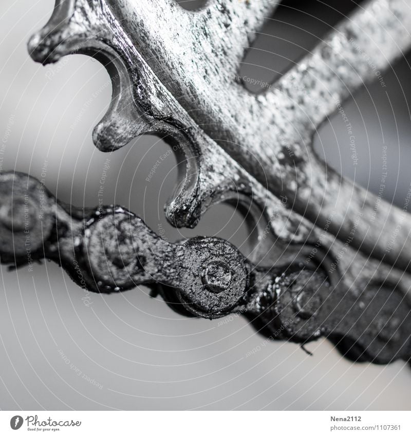 gear Cycling Bicycle Gray Gearwheel Chain Bicycle chain Metal Force Oily Prongs Fat Dirty Breakdown Exterior shot Close-up Detail Macro (Extreme close-up)