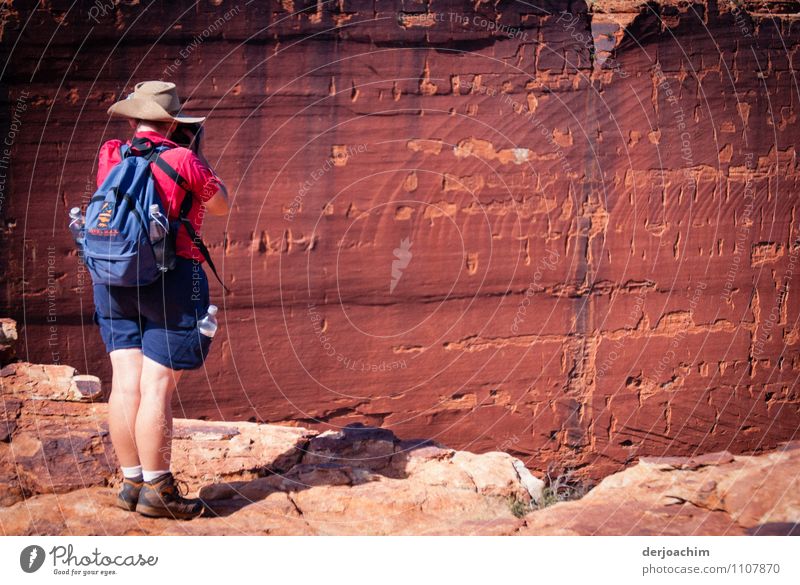 Red - rock walls on the Plateau Watarrka National Park in Kings Canyon. Northern Territory. Australia. Joy Calm Trip Nature Earth Summer Beautiful weather