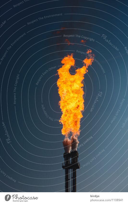 Fire and Flame Industry Energy industry Cloudless sky Torch Smoke Blaze Illuminate Authentic Threat Hot Tall Blue Yellow Orange Black Fear Fear of the future