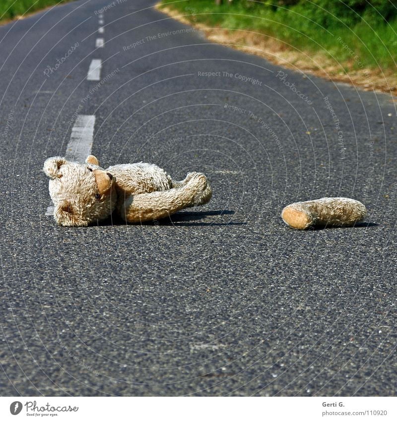 the poor Droop Accident First Aid Doomed Traffic accident Asphalt Middle of the road Line Stripe Safety Insecure Tracks Animal Cuddly toy Teddy bear Toys