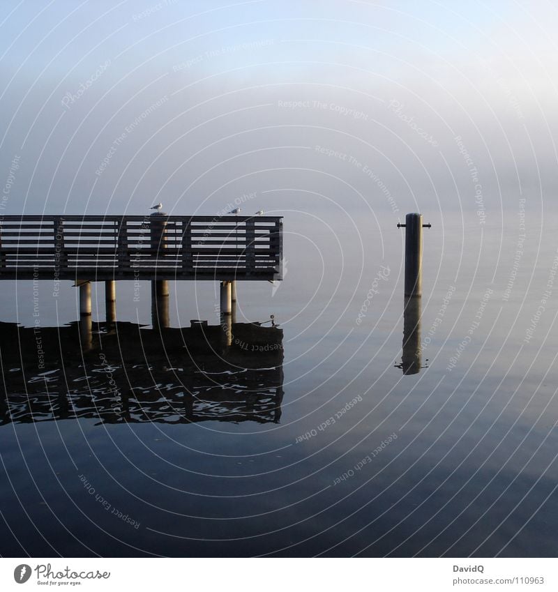 rest Body of water Lake Pond Interior lake Footbridge Jetty Vertauen Seagull Fog Washhouse Surface of water Reflection Calm Relaxation To be silent Autumn