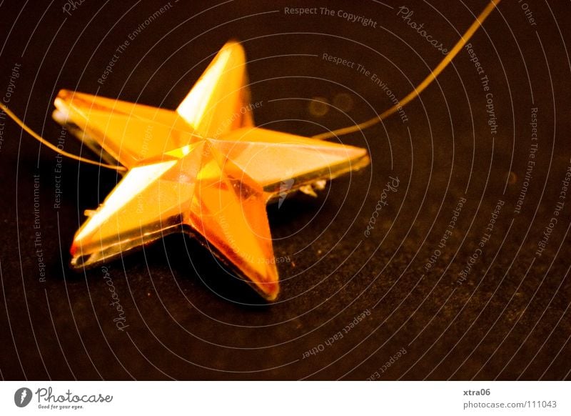 the star Near Christmas star Christmas & Advent Cautious Elated Star (Symbol) Gold christmas time noel Feasts & Celebrations