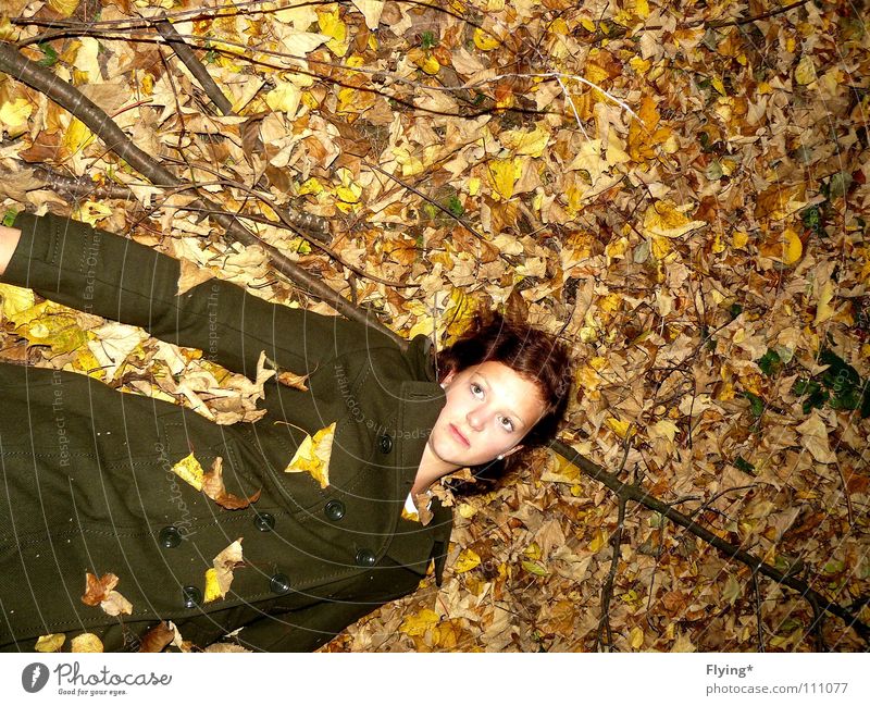 In the pergola blown away Autumn Autumn leaves Green Dark green Leaf Woman Coat Forest Alert Dreamily Corpse Find Clothing melancoly Peace Branch