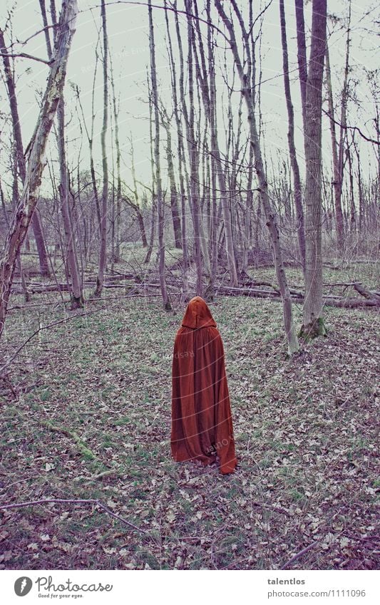 red riding hood Human being Coat Dark Creepy Gloomy Red Sadness Grief Death Lovesickness Loneliness Perturbed Little Red Riding Hood Cape Forest Sparse Eerie