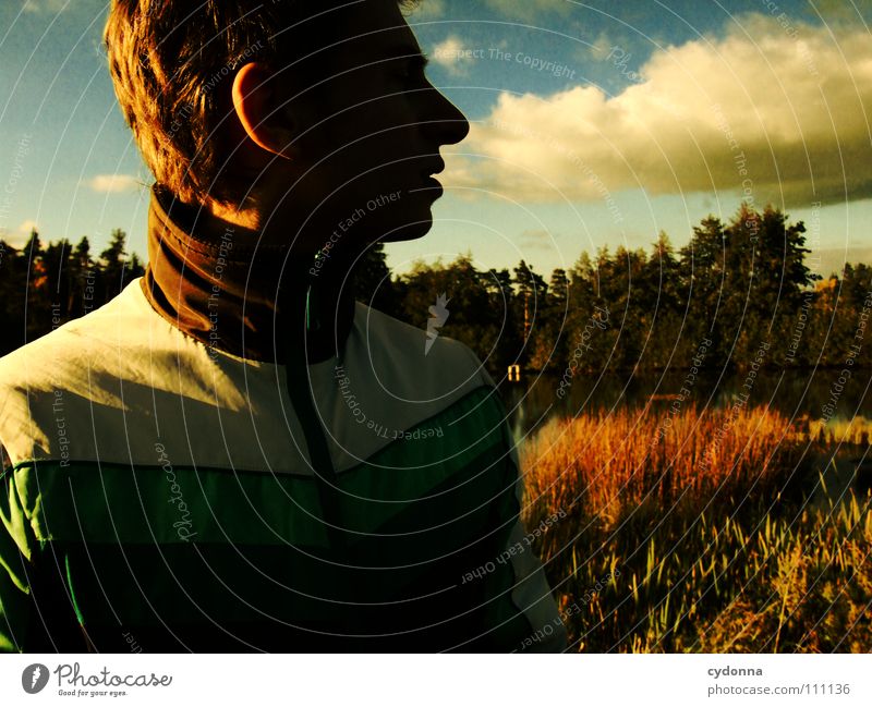 LOOKING BACK Man Fellow Curiosity Mysterious Bird's-eye view Forest Meadow Pond Light Retro Dark Silhouette Portrait photograph Clouds Beautiful Think Identity