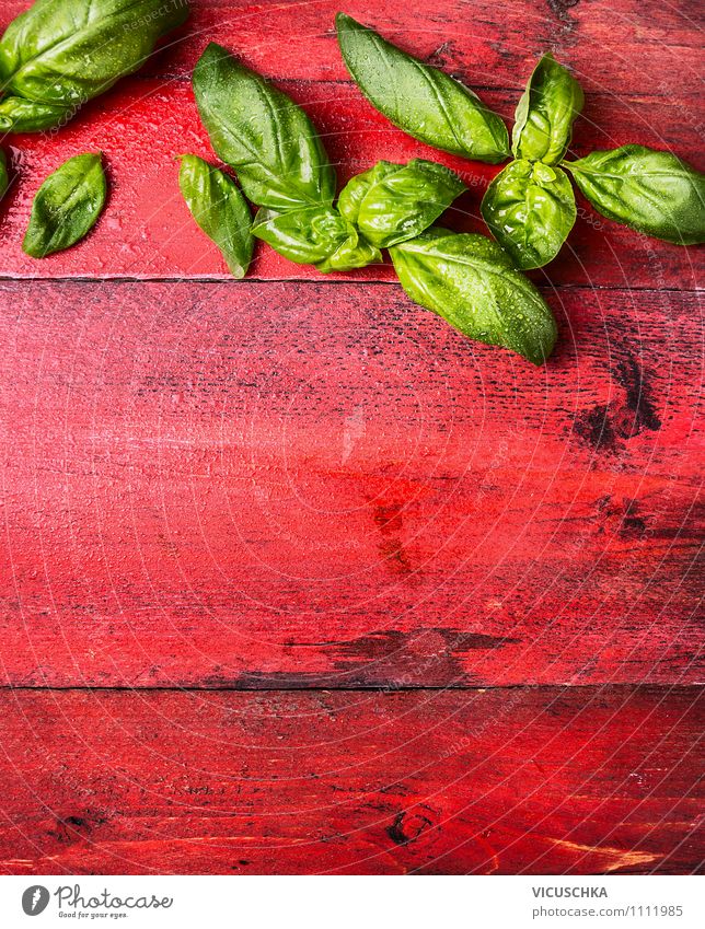 Basil on red wooden table Food Herbs and spices Nutrition Italian Food Style Design Healthy Eating Life Garden Table Kitchen Nature Background picture basil