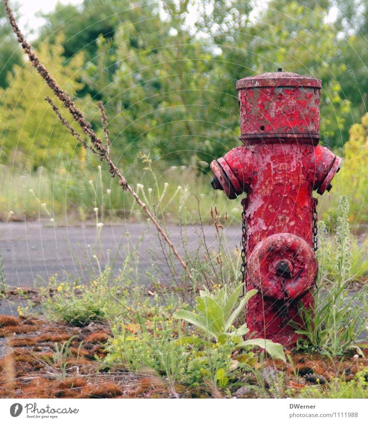 hydrant Lifestyle Garden Hydroelectric  power plant Environment Nature Landscape Water Plant Flower Grass Moss Park Meadow Industrial plant Factory Ruin