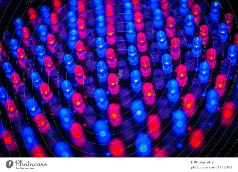 Ledlight`s LED High-tech Blue Red Design Surrealism LED light Illuminate Neon sign Illuminant Colour photo Exterior shot Close-up Detail Evening Night