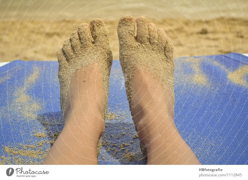 Traces in the sand Swimming & Bathing Leisure and hobbies Summer Summer vacation Sun Sunbathing Beach Ocean Island Legs Feet Lie Vacation & Travel Dream