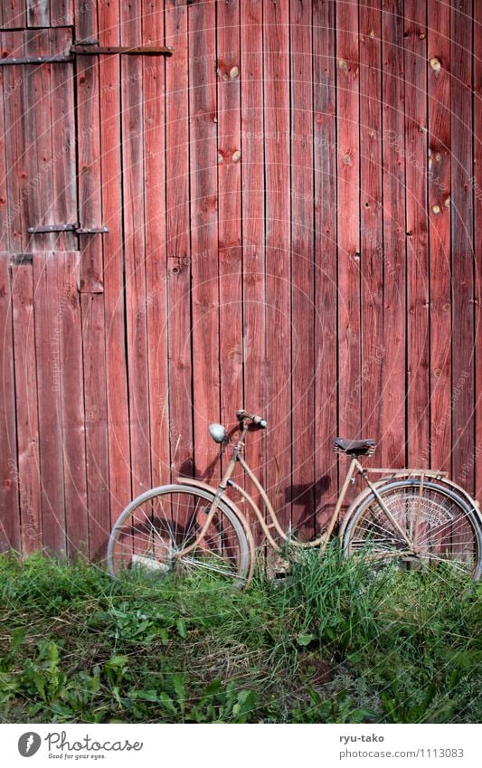 left ajar Meadow Bicycle Hut Barn Wood Retro Green Red Spring fever Serene Calm Old Second-hand Colour photo Multicoloured Exterior shot Deserted Copy Space top