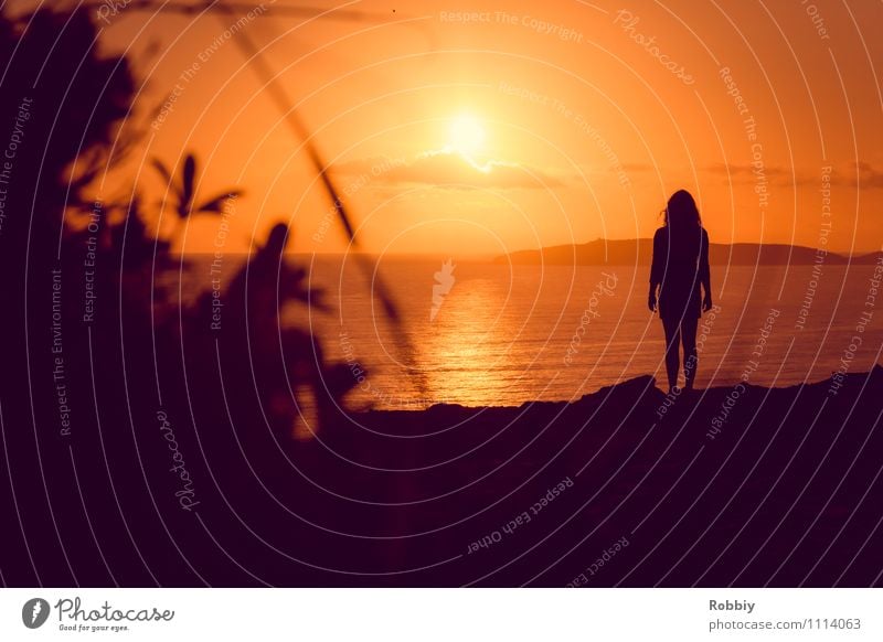 l'homme II Human being Woman Adults 1 Nature Landscape Horizon Sun Sunrise Sunset Sunlight Coast Beach Ocean Pacific Ocean Australia Looking Stand Authentic