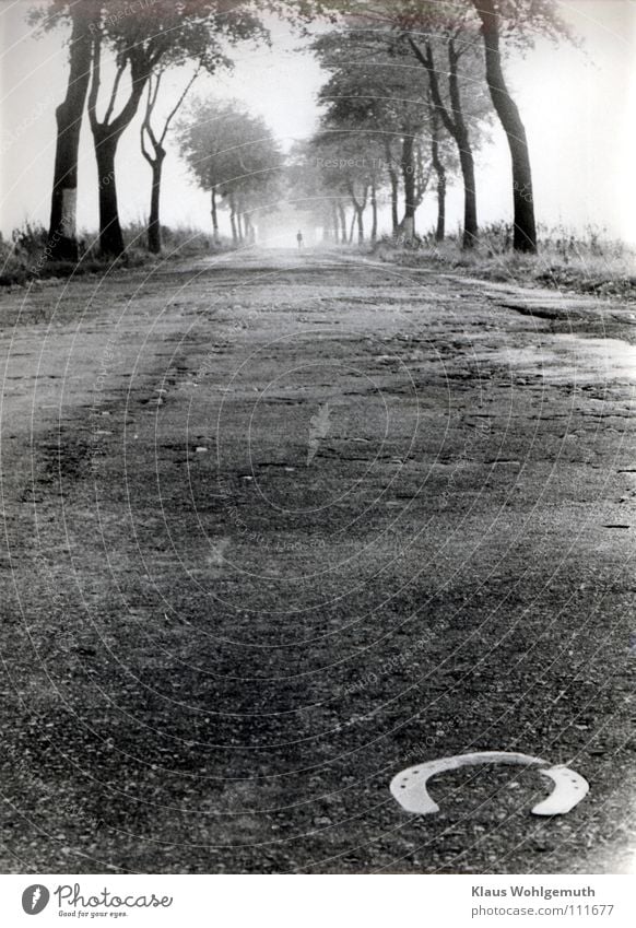 Old country road with poor asphalt is passed by trees a horseshoe in the foreground . In the distance a human figure disappears in the haze of the distance.