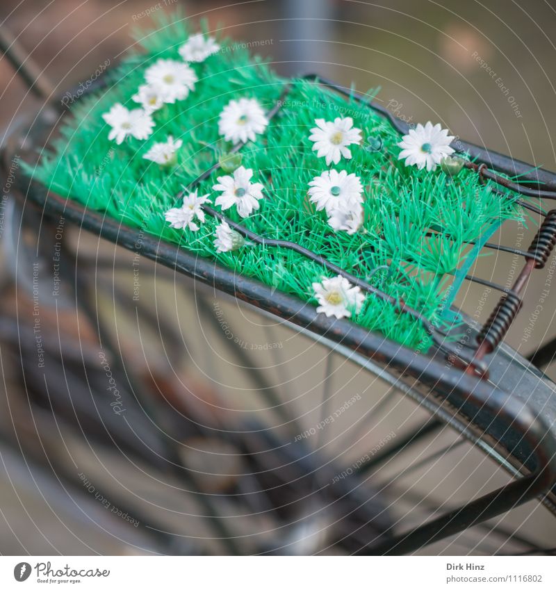Mobile Spring Plant Summer Blossom Foliage plant Means of transport Bicycle Firm Kitsch Funny Positive Retro Crazy Brown Green White Joy