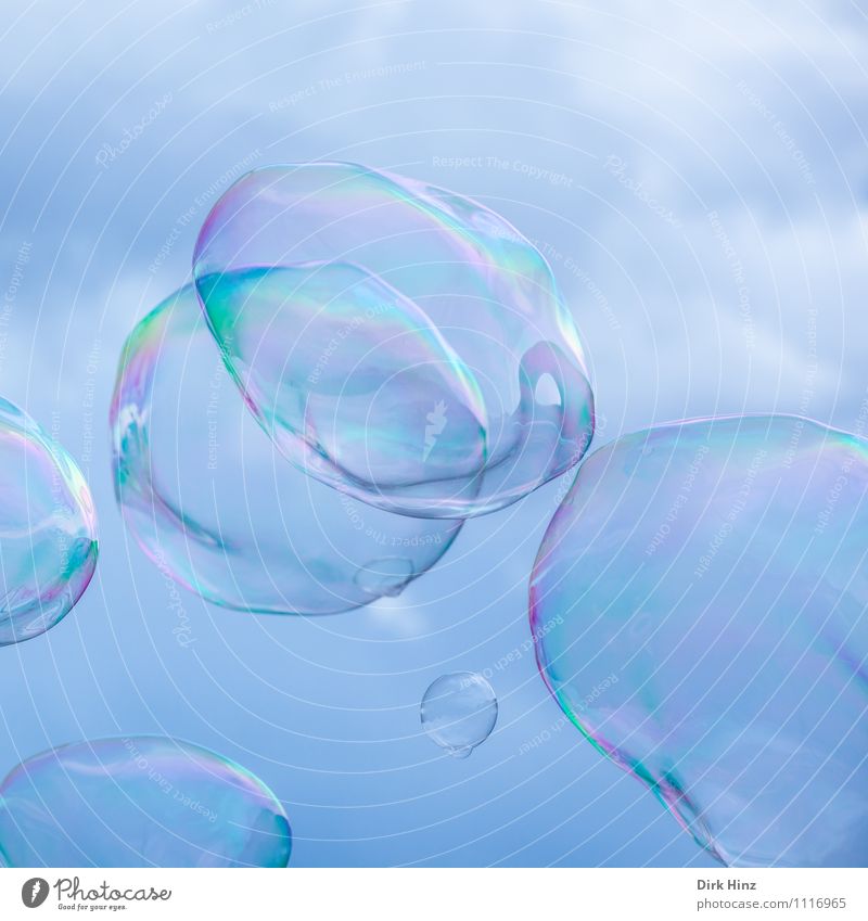 dream bubbles Water Sign Flying Fleeting Soap bubble Round Glimmer Prismatic colors Prismatic colour Glittering Hollow Bubble Transience Reflection Fluid