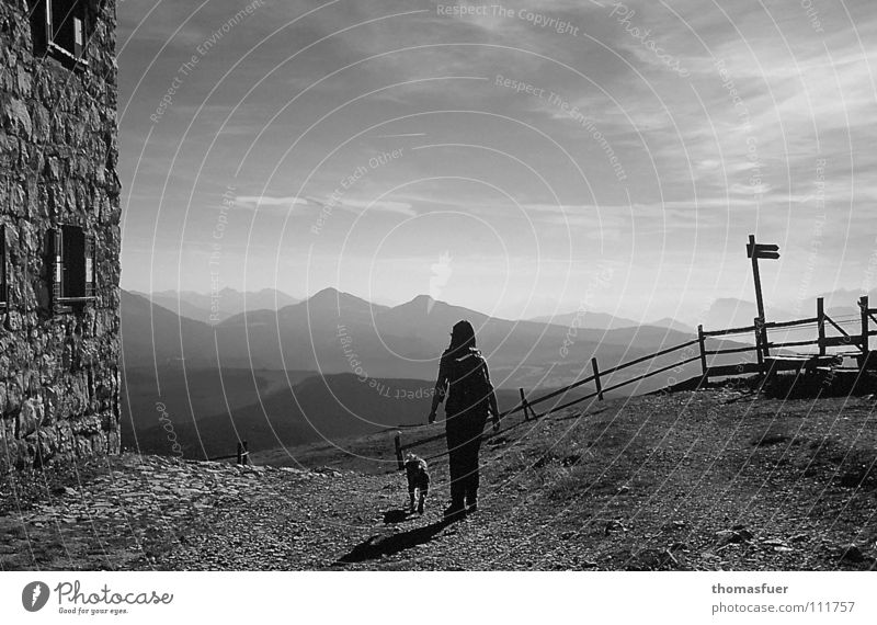 just go - woman with dog hiking in high mountains sw Evening sun Drop shadow Clouds Companion Dog Far-off places Hope Self-confidence pretty Black & white photo