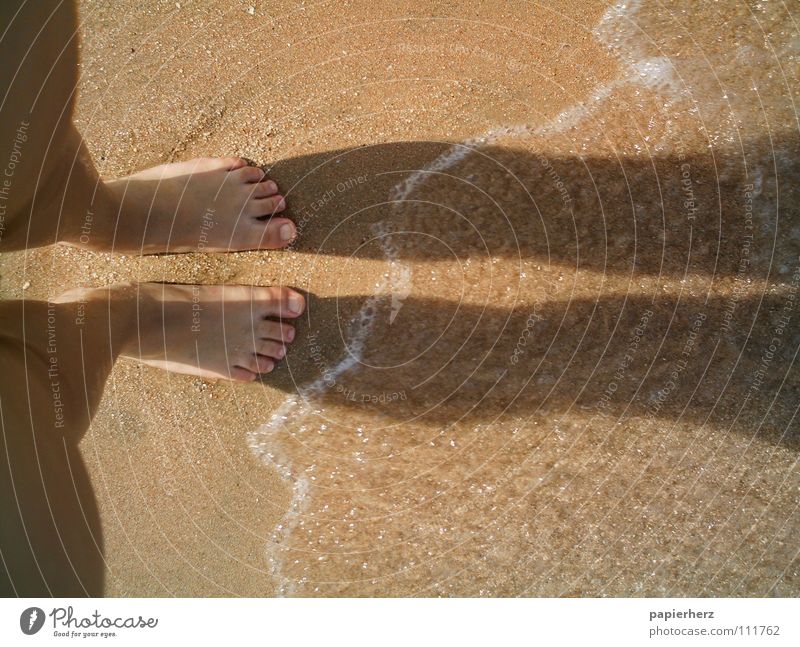 Feet on the beach Beach Vacation & Travel Exterior shot Egypt Waves Coast Freedom Sand Water Shadow