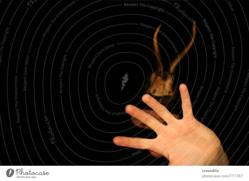 wolpertinger IV Deer Antlers Hand Flashy Dark Frontal Dangerous Fingers Camouflage Fear Panic Protection Mouth Balaclava Threat disguised Hunting Arm