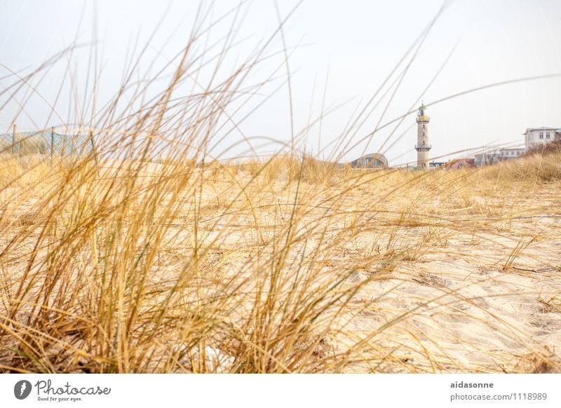 Warnemünde Landscape Plant Sand Cloudless sky Baltic Sea Contentment Anticipation Warm-heartedness Attentive Calm Loneliness Warnemünder Teapot Lighthouse