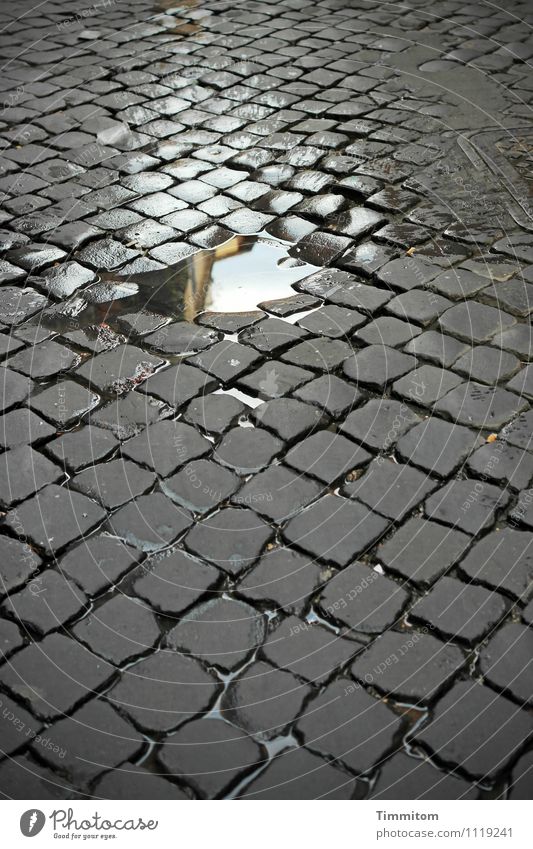 Cobblestone with puddle - Somewhere in... so Italy (3). Rome House (Residential Structure) Wall (barrier) Wall (building) Street Paving stone Stone Water Line