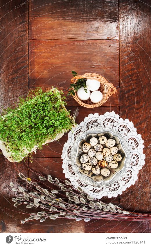 Easter composition of catkins, eggs and cress, on wooden table Food Organic produce Decoration Table Spring Wood Metal Natural Brown Green Tradition Basket