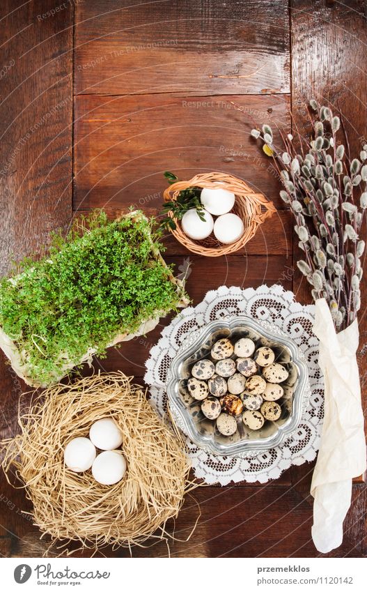 Easter composition of eggs, cress and catkins on wooden table Decoration Table Scissors Spring Paper Wood Metal Natural Brown Green Tradition Basket bobwhite