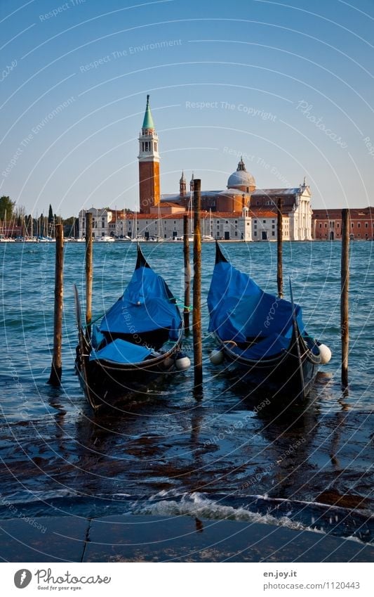 two Vacation & Travel Tourism Trip Sightseeing City trip Summer Summer vacation Cloudless sky Beautiful weather Island San Giorgio Maggiore Lagoon Venice Italy
