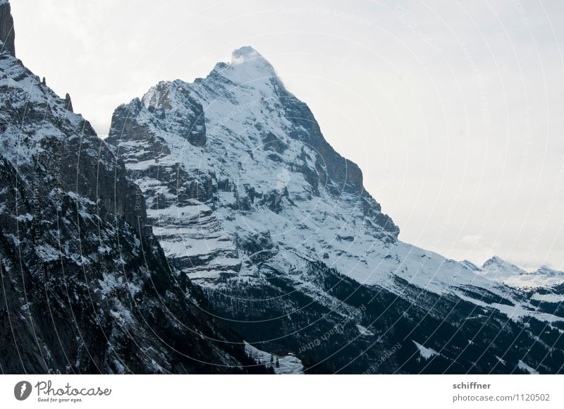 New day, new Eiger Environment Nature Landscape Rock Alps Mountain Peak Snowcapped peak Glacier Cold Steep face Bernese Oberland Point Exterior shot Deserted