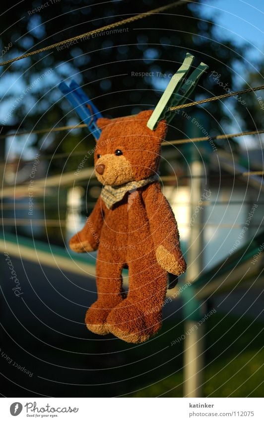 ...hang out... Teddy bear Clothesline Clothes peg Hang up Laundry Holder Obscure hung Bear