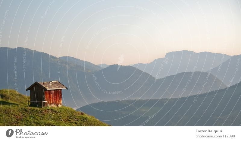 Lonely Planet Barn fowl Federal State of Tyrol Hiking Kitzbühel Alps Austria Nature Loneliness Green Panorama (View) Mountain ridge Meadow Alpine pasture