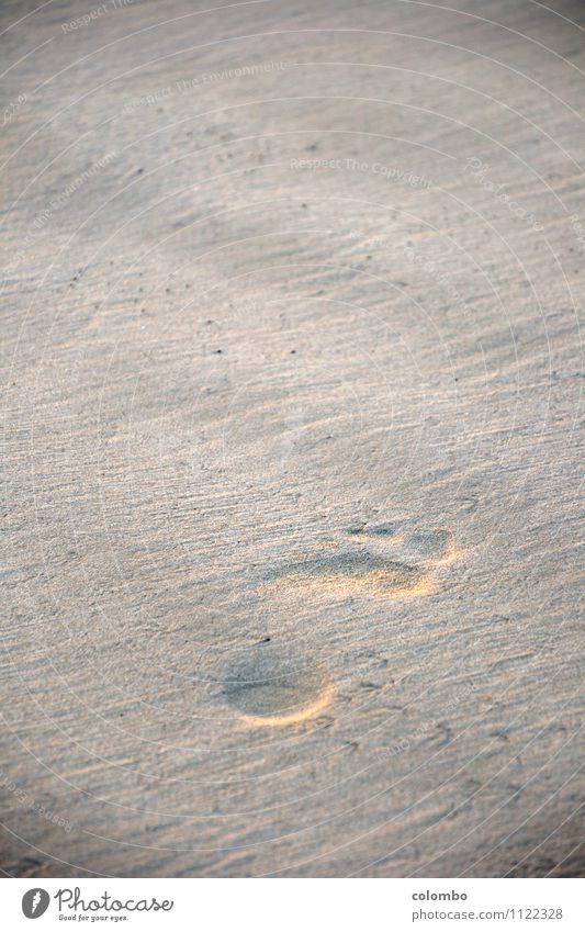 Trace in the sand Feet 1 Human being Sand Sunrise Sunset Coast Beach Water Sign Footprint Discover Relaxation Going Walking Far-off places Free Naked Emotions