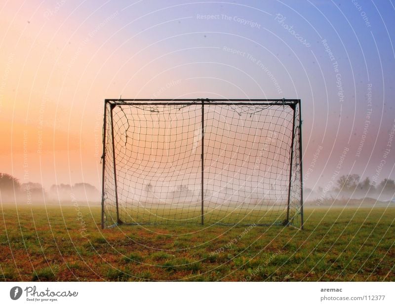 After the game is before the game Playing Football pitch Meadow Grass Green Fog Moody Sunrise Sports Autumn Leisure and hobbies Soccer Action