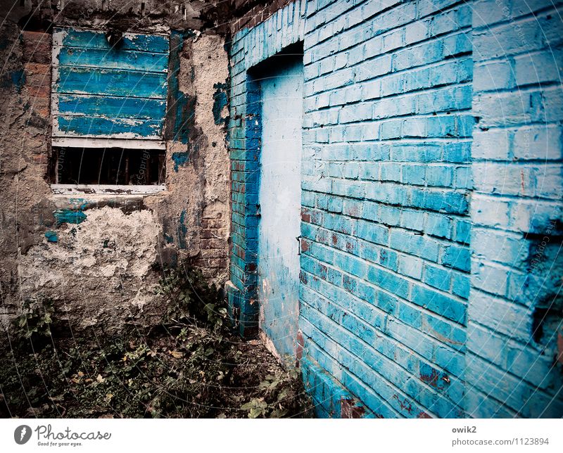 All Blues Wall (barrier) Wall (building) Facade Window Door Old Dirty Trashy Gloomy Turquoise Decline Transience Shabby Brick wall Painting (action, work)