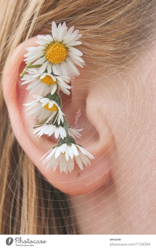 Daisy Ear Beautiful Pharmaceutics Botany Human being Young woman Youth (Young adults) Woman Adults Hair and hairstyles Ear lobe Outer ear 13 - 18 years Child