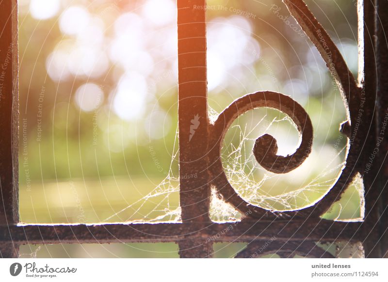 FF# Sunny Day Art Esthetic Contentment Idyll Peaceful Dreamily Handrail Ornate Spider's web Old Uninhabited Historic Remote Detail Decoration Park Cemetery Iron
