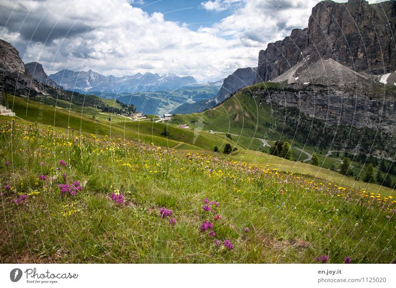 in between Vacation & Travel Tourism Adventure Summer vacation Mountain Hiking Nature Landscape Sky Clouds Spring Weather Flower meadow Meadow flower Hill Rock