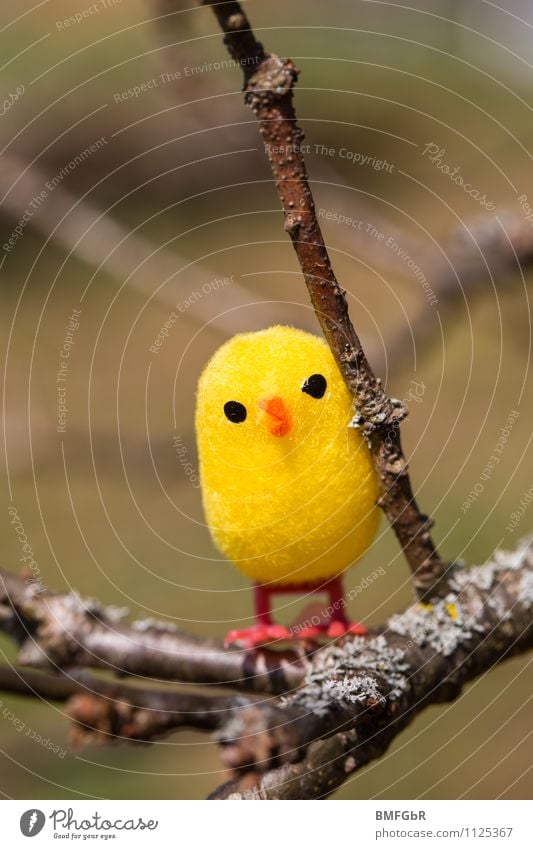 Learn to fly Joy Playing Adventure Freedom Expedition Easter Chick Toys Observe Flying Crouch Sit Wait Brash Happiness Fresh Cuddly Kitsch Small Funny Curiosity