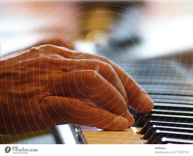 Hand of a senior plays piano Music Man Male senior Piano Keyboard Old Organ Keyboard instrument Chord Human being