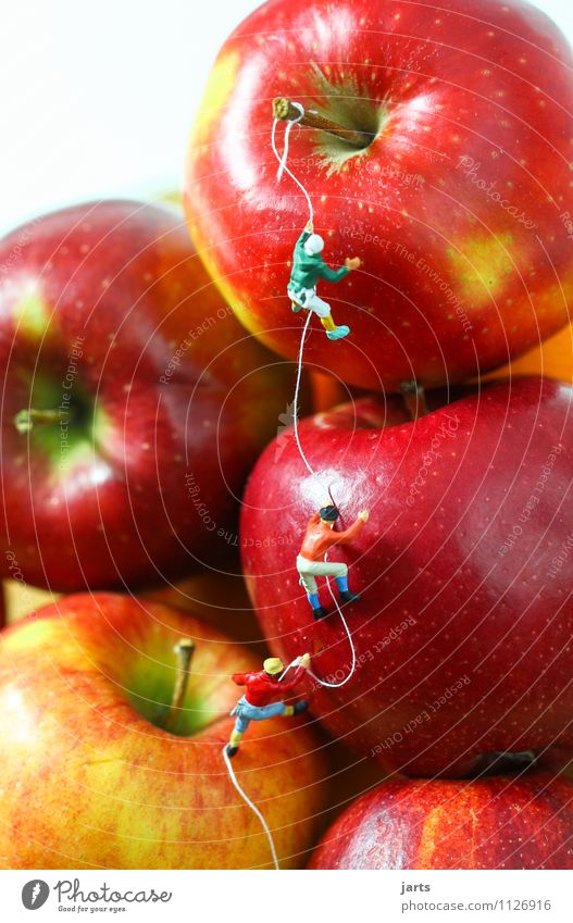 apple tour Fruit Apple Trip Adventure Freedom Mountain Hiking Human being Masculine 3 Movement Fresh Healthy Bravery Trust Mountaineering Vitamin Climbing Red