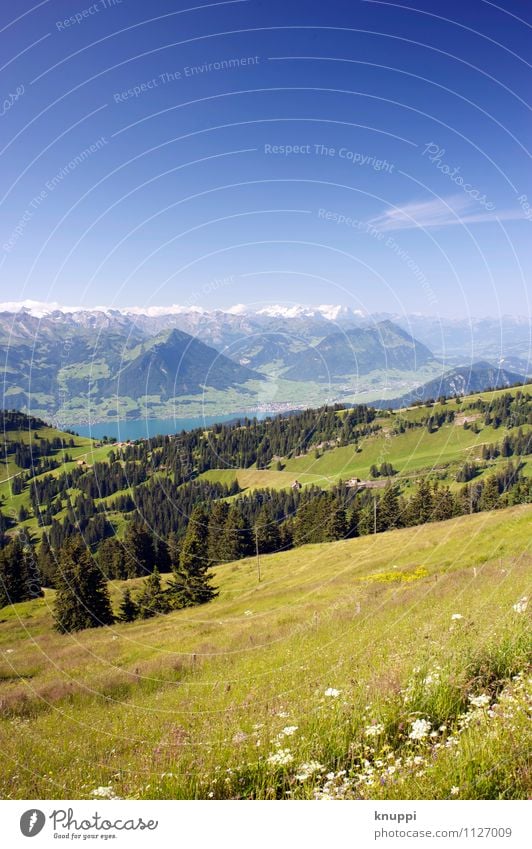 Switzerland Environment Nature Landscape Plant Earth Air Water Sky Cloudless sky Horizon Sun Sunlight Spring Summer Climate change Weather Beautiful weather